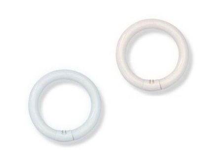 22w Fluorescent T9 Circular Globe Warm White 3000k, Daylight 5000k CIR-22-WW, CIR-22-TP Online now