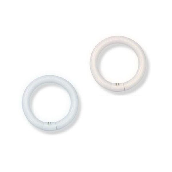 22w Fluorescent T9 Circular Globe Warm White 3000k, Daylight 5000k CIR-22-WW, CIR-22-TP Online now